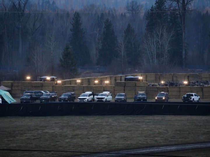 省東南部Edgewood環球鴕鳥養殖場昨晚傳出槍聲加拿大食品檢驗局人員展開撲殺場內超過300隻鴕鳥行動