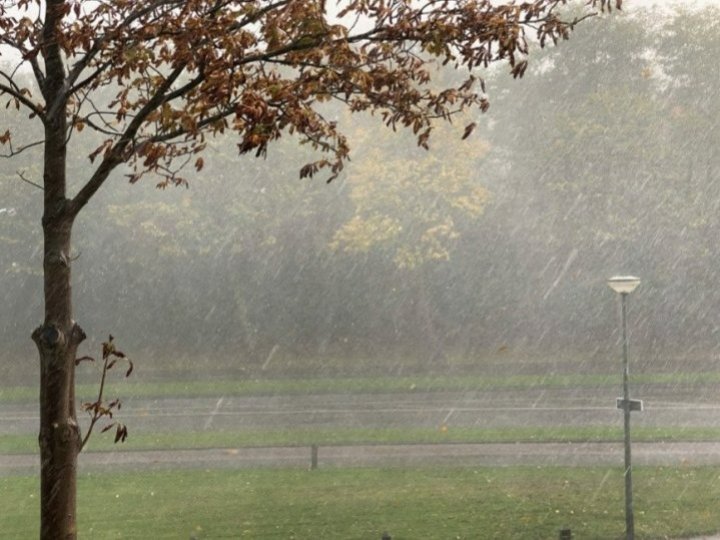 環境部向大溫地區發出黃雨警告