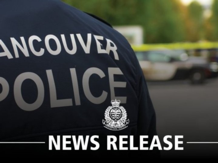 溫市一男子涉多宗偷車案   更縱火燒車  被捕時捱撞