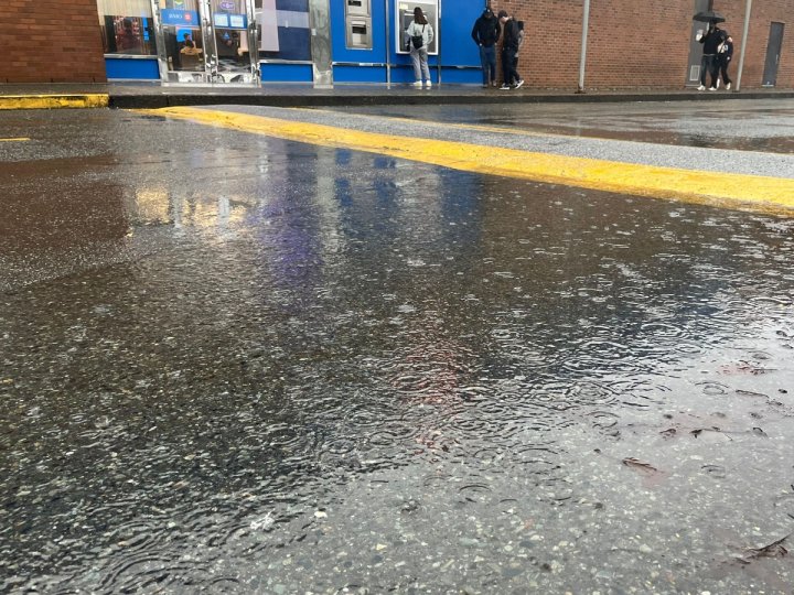 環境部預計大溫及威士拿地區週日開始會持續暴雨