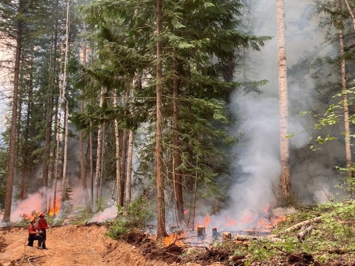 有卑詩省葡萄酒種植者越來越擔心山火帶來風險
