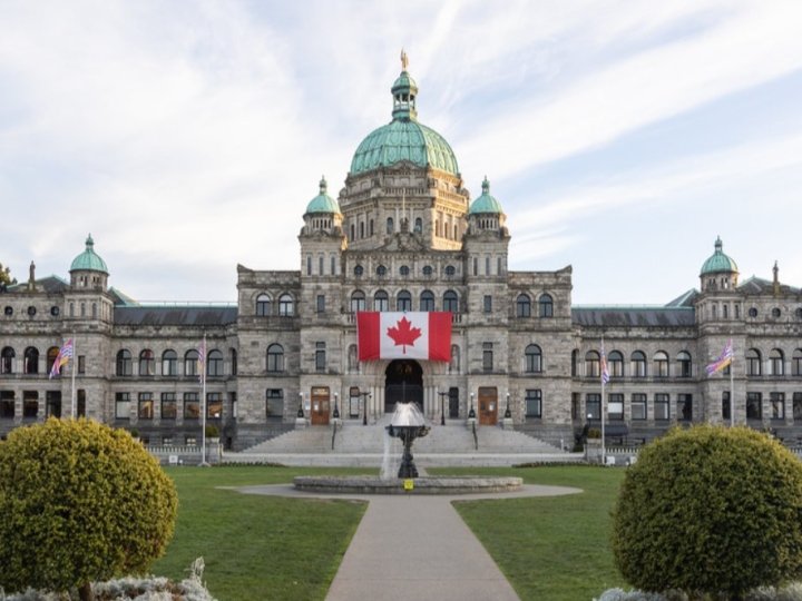 省府修法規管家羊　防止向野生羊群傳播致命疾病