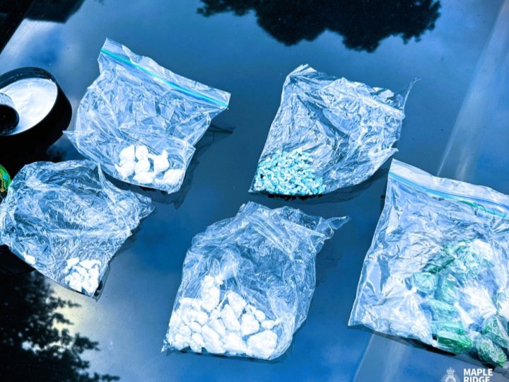 楓樹嶺皇家騎警於上月繳獲大量毒品   拘捕6人涉嫌販毒