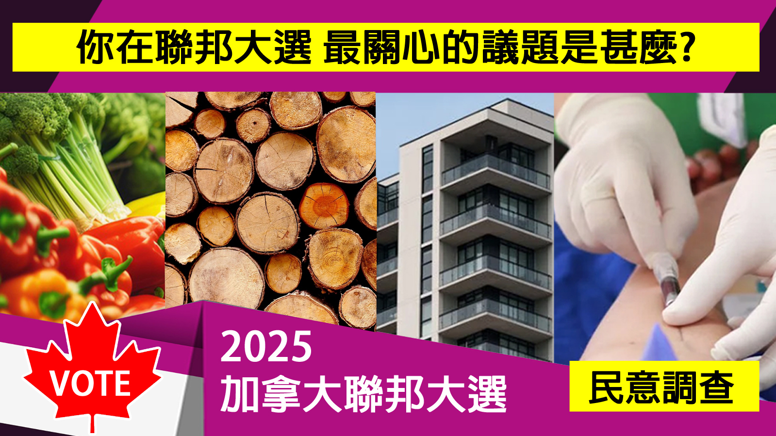 大選關心議題？［已完結］1746068789